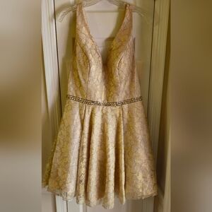 Ed Young Champagne & Shimmery Gold Lace Fit & Flare Short Party Dress- Size XL